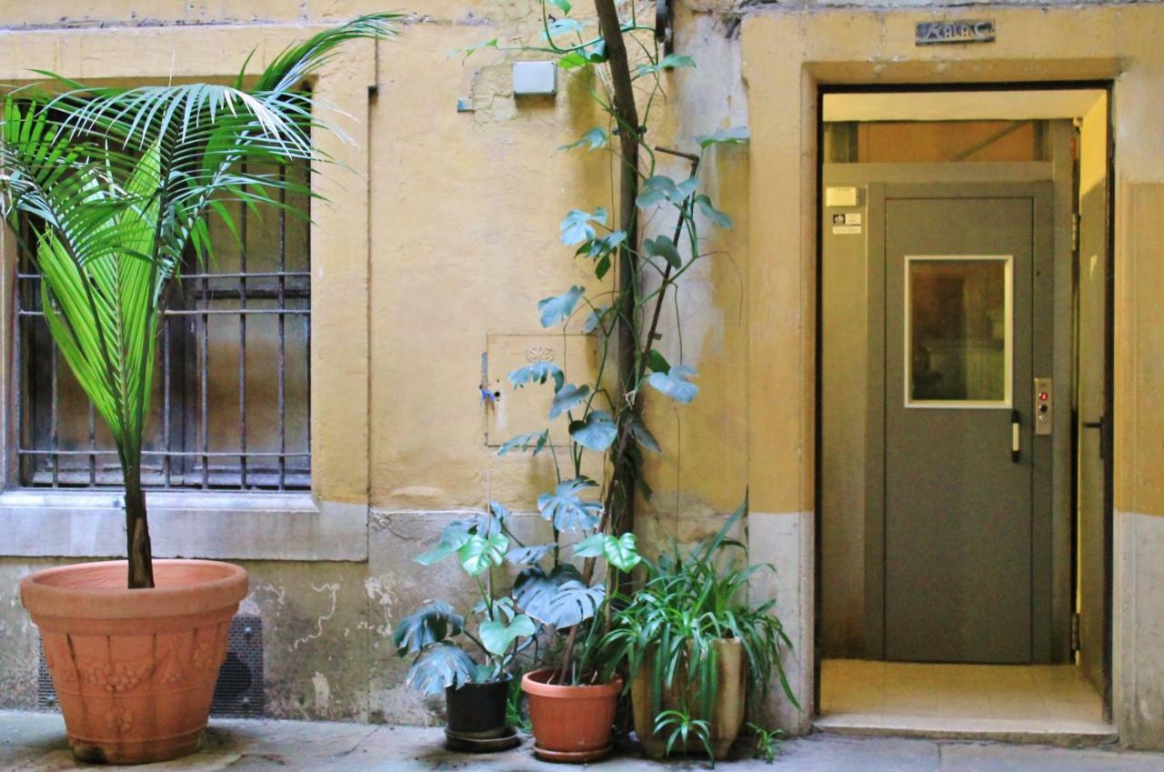 Roman Central House